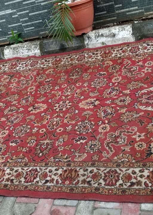 Area Rug Collection