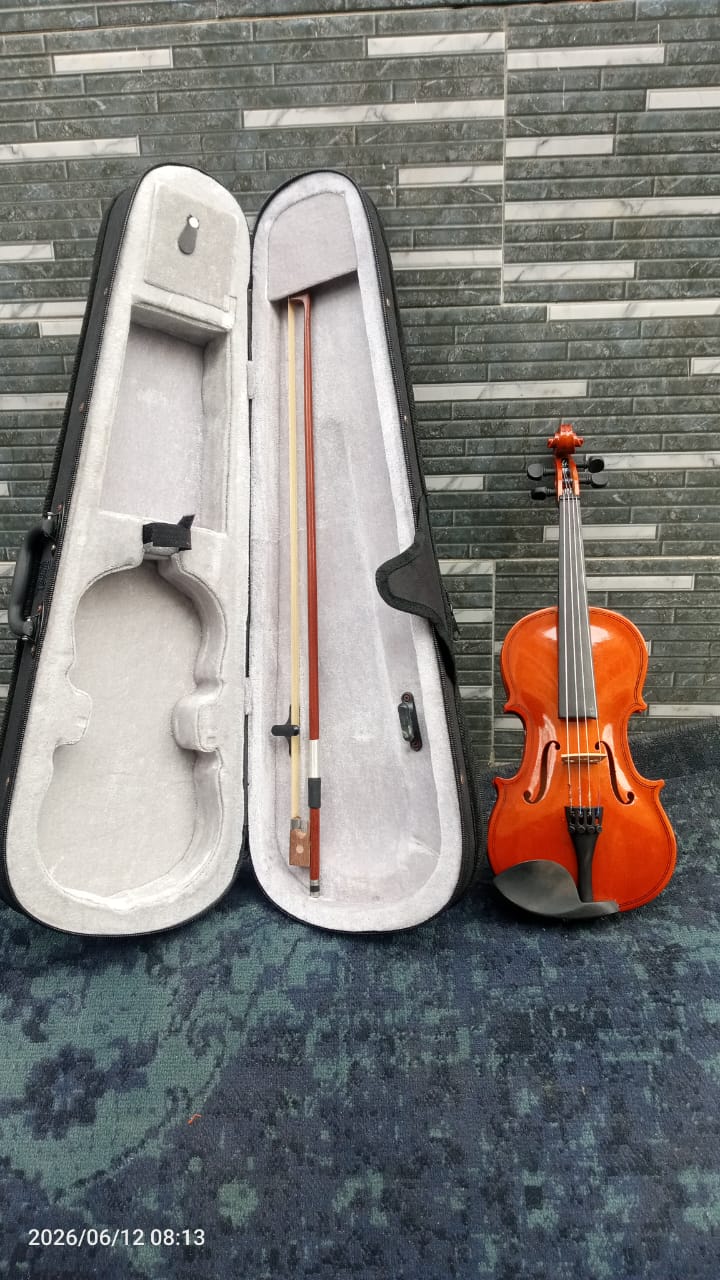 Classic Acoustic Violin with Hard Case and Bow