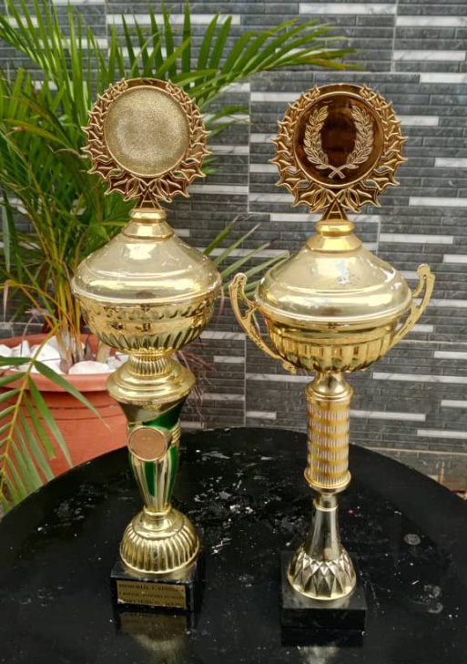 Decorative Award Trophy Collection