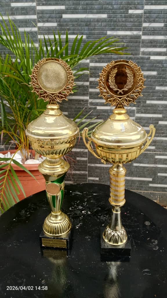 Decorative Award Trophy Collection