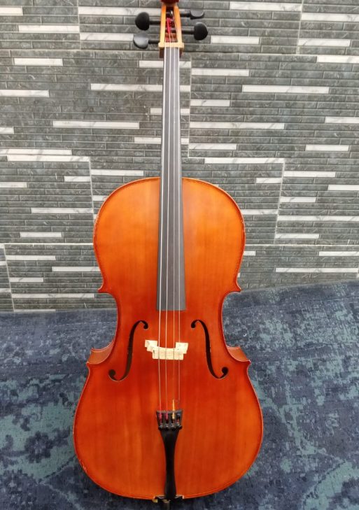 Vintage Acoustic Violin