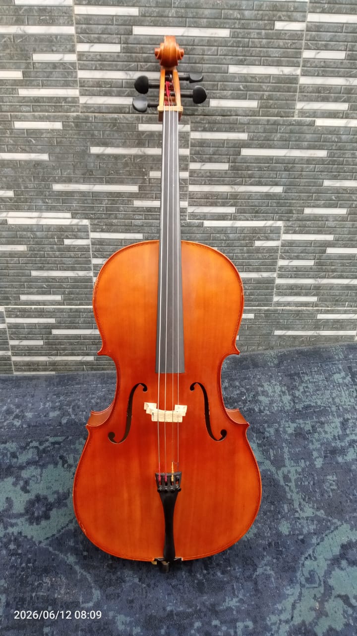 Vintage Acoustic Violin - Image 1