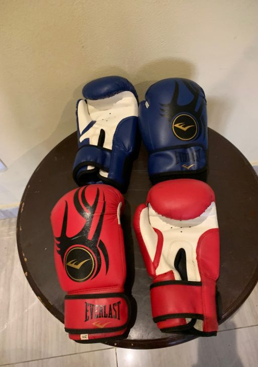 Boxing Gloves (Assorted Colors)