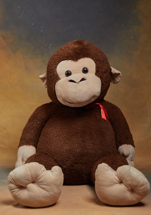 Brown Giant Monkey / Teddy Bear