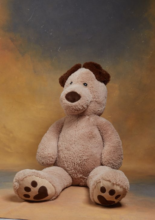 Cream Teddy Bear