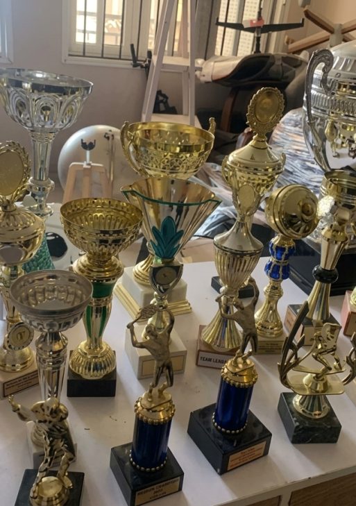 Decorative Award Trophy Collection