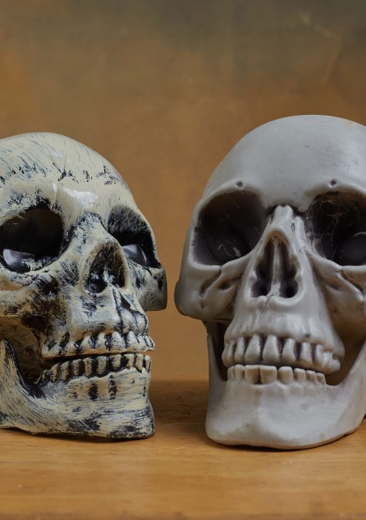 Skull Props