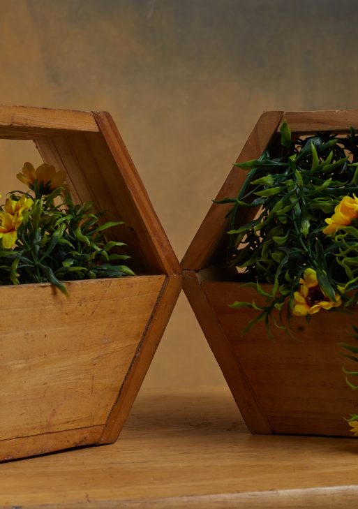 Hexagonal Wooden Table Vase / Planter (Set of 2)