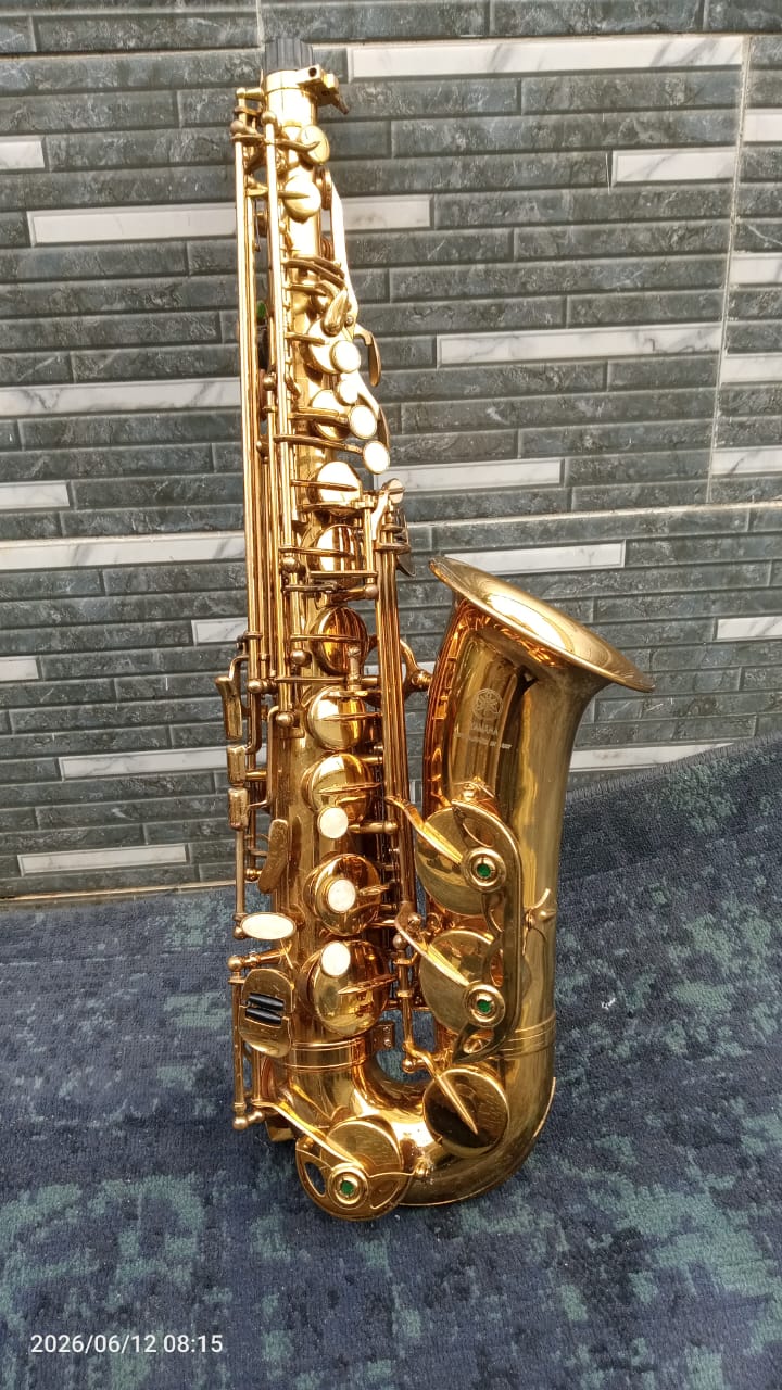 Classic Polished Brass Alto Saxophone
