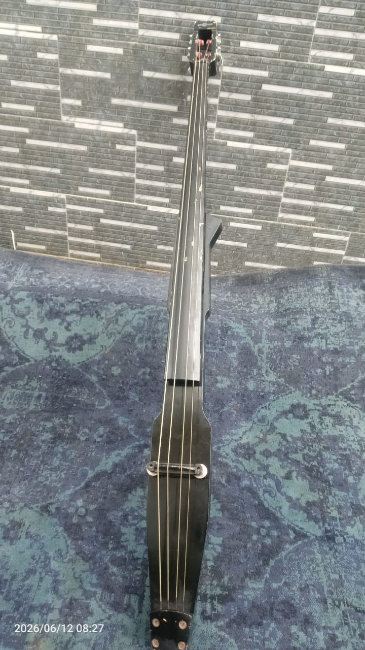 Minimalist Black Electric Upright Stick Bass