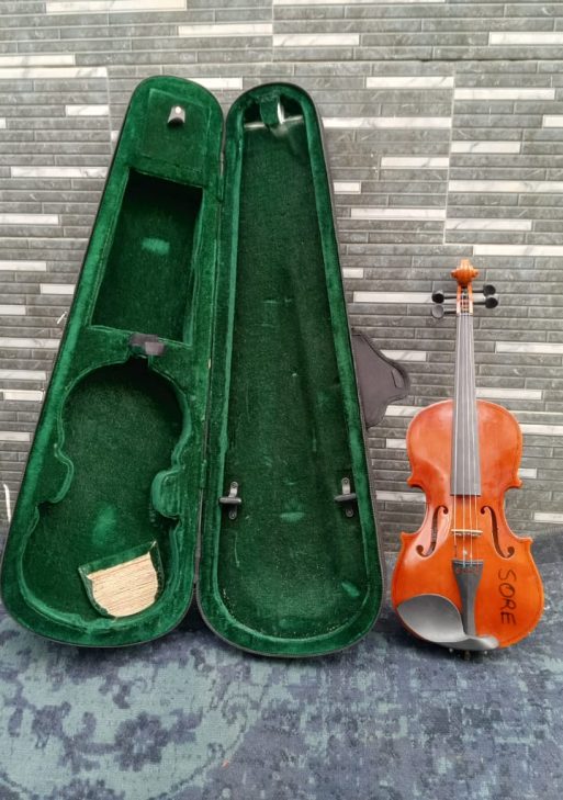 Classic Acoustic Violin with Hard Case and Bow