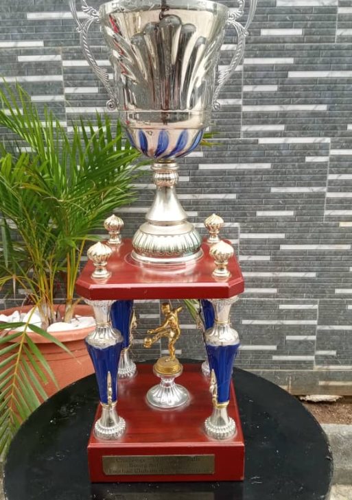 Decorative Award Trophy Collection