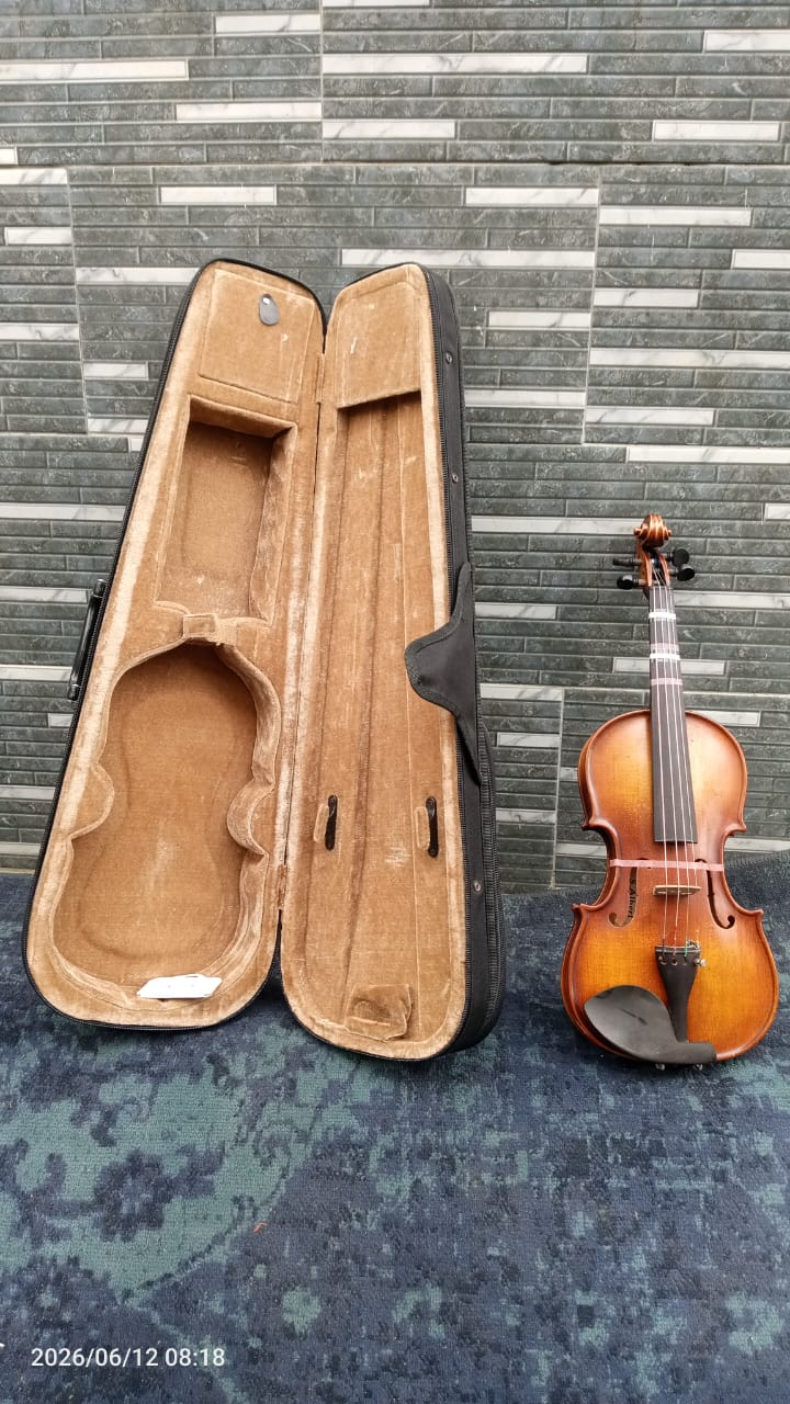 Classic Acoustic Violin with Hard Case and Bow - Image 2